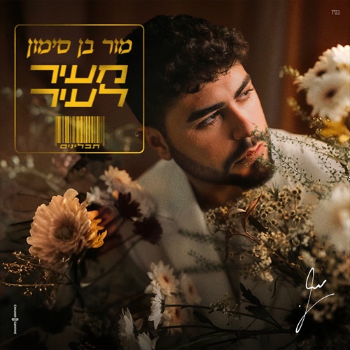 תמונה