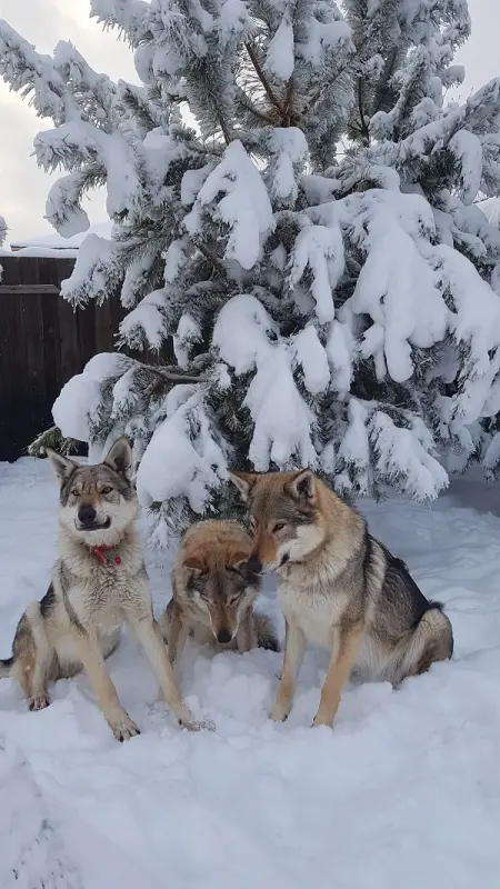 qB9X8un_mWBdaUnSTNbRcx2tNrv7hgAYDOiMdFBE8wlUOgcI07SAgMkhF0xL-TH89LrpheSU9JOE96SmT1F6iEcr