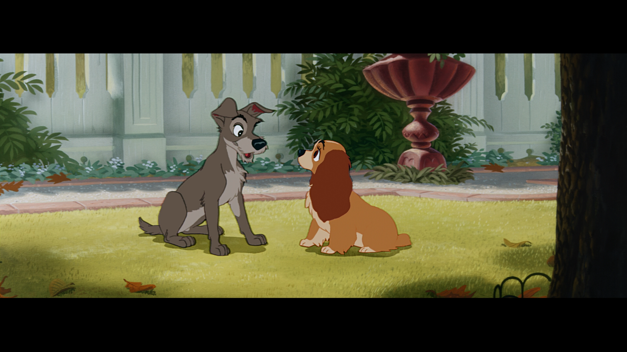 lady_and_the_tramp_18