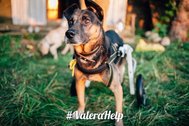 B6B69EB5-D554-4F2C-B7F7-62F61E9721E0