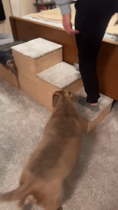 ssstwitter-com-1713193858032.gif