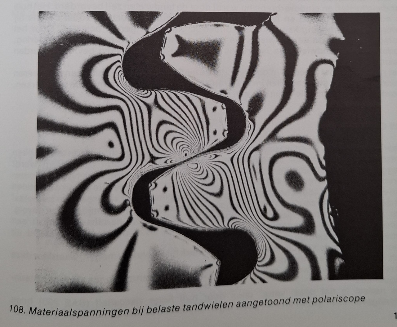 motion photo 3871727616481815461