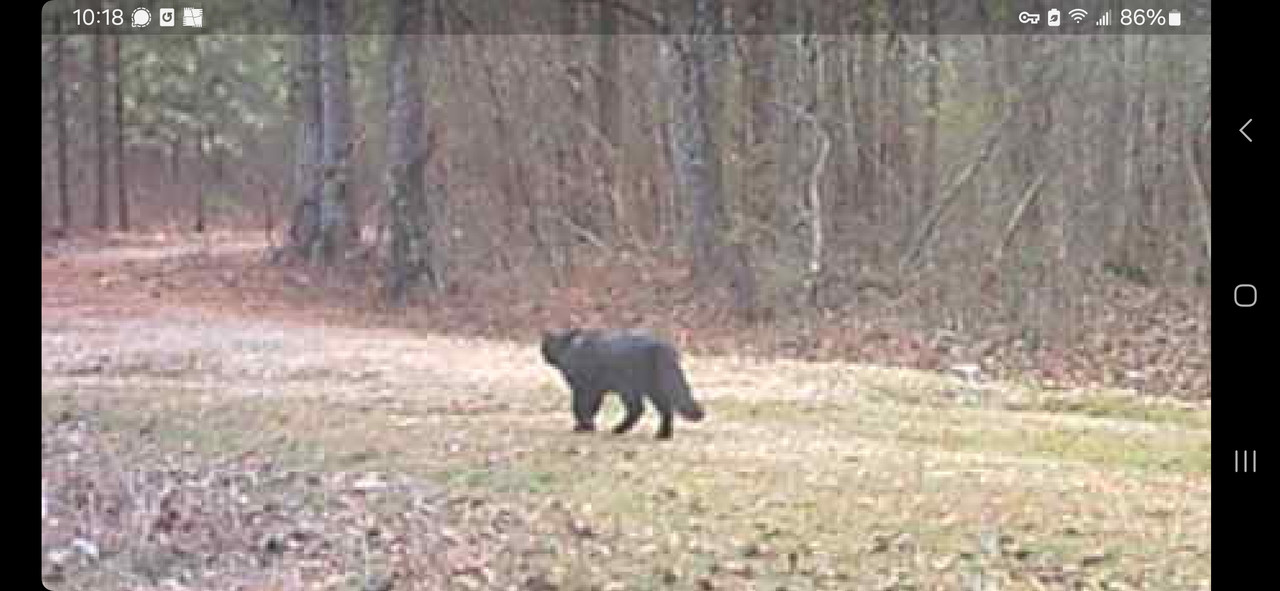 Screenshot_20250127_101808