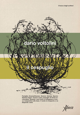 Dario Voltolini - Il cespuglio (2026)