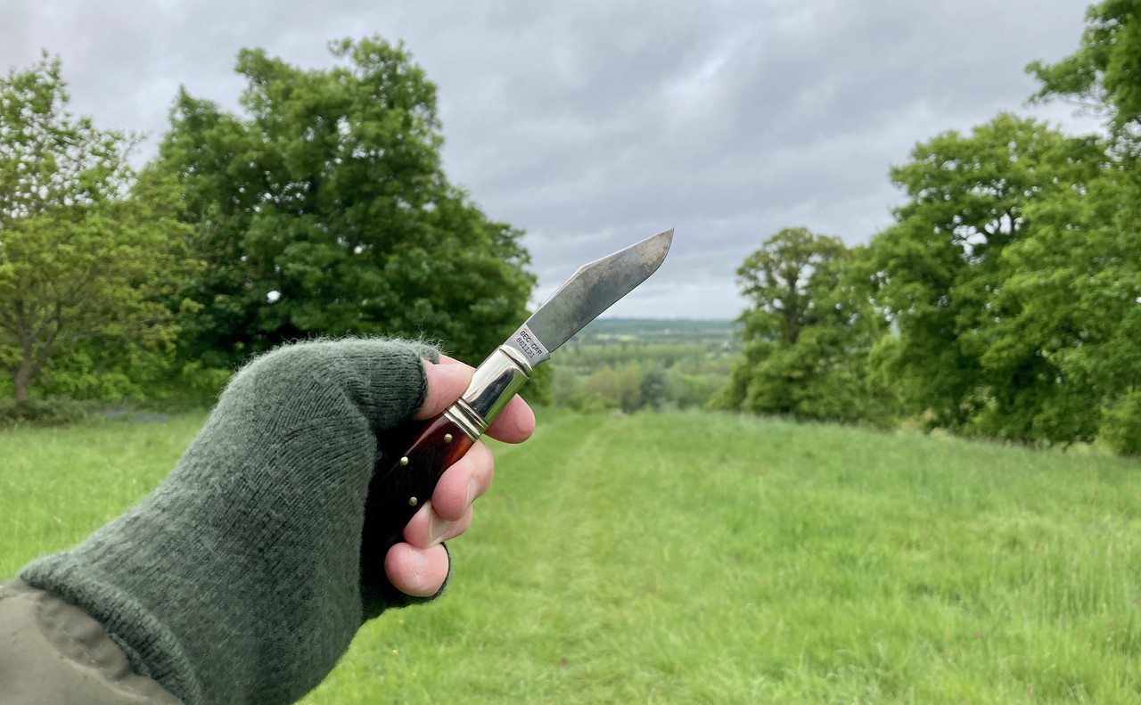 D38A0FA4-7C5D-446D-A0B0-784ED7B11E04