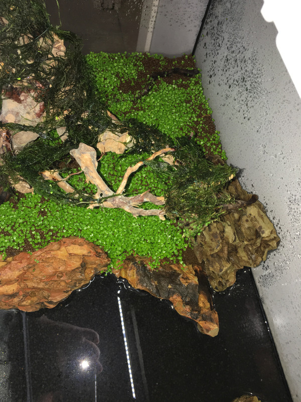 7F66D7BB-733C-4524-8BD0-2FA7E4C9527E