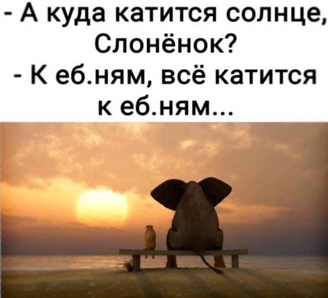 https://i.postimg.cc/VshrD6db/photo-2024-12-11-09-41-19.jpg