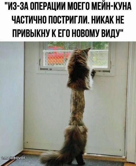 [Изображение: 8e9f4f61385125aee01fdf24f5b41a14.jpg]