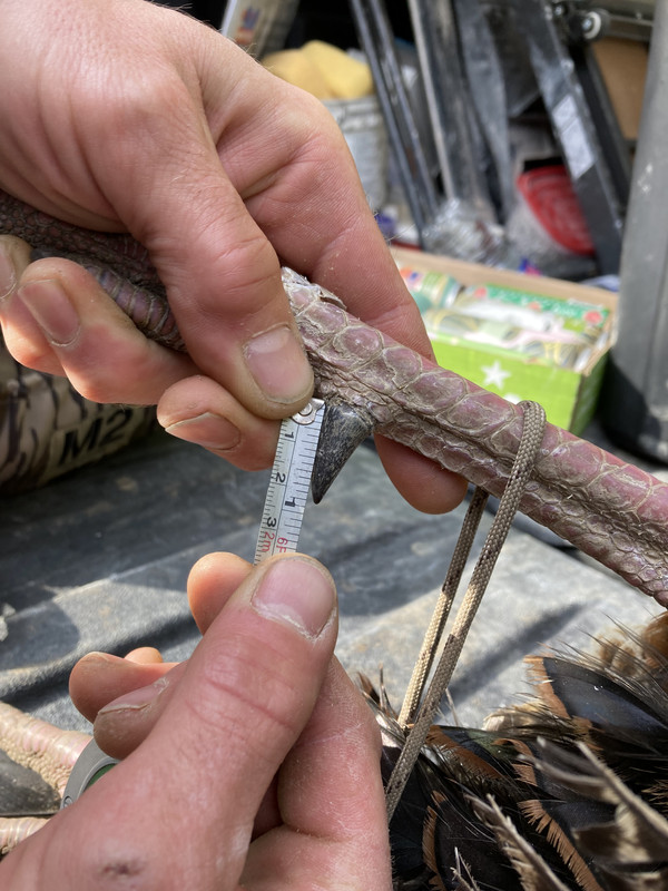 55E00ACA-AC8A-41F6-9C19-75A23A8A1F36