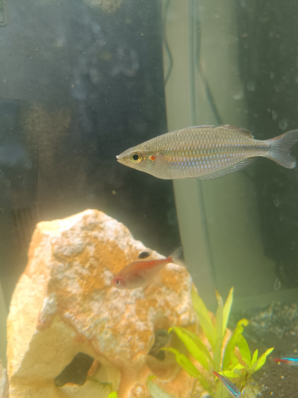 SAVE_20250104_171534