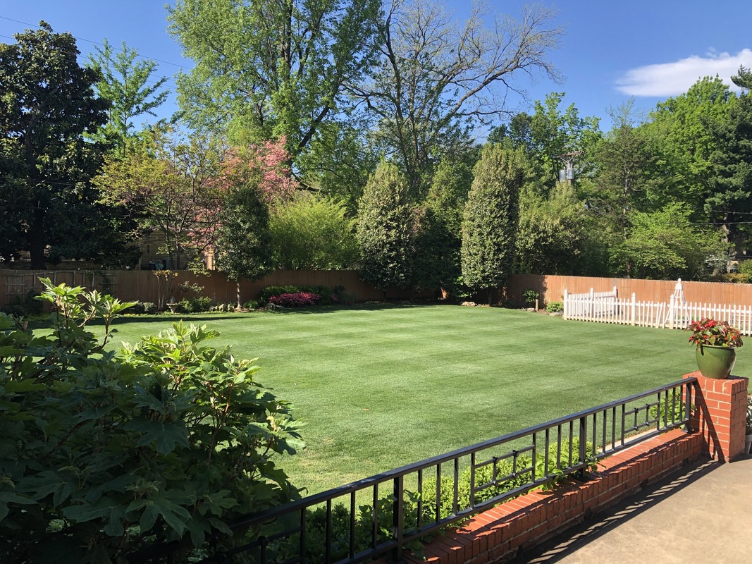 323C57A0-A886-41BE-A2AE-EB351C77AA49