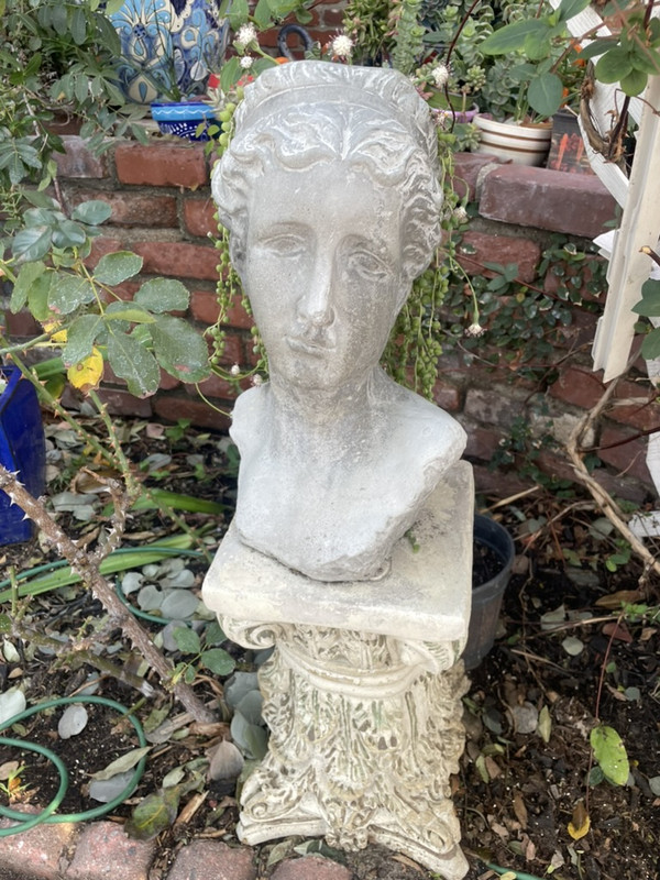 6B004728-AB35-436E-B4AF-F337C0A8C450_1_105_c