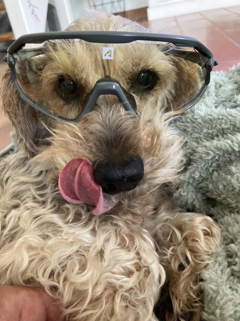 [Image: IMG-4465.jpg]