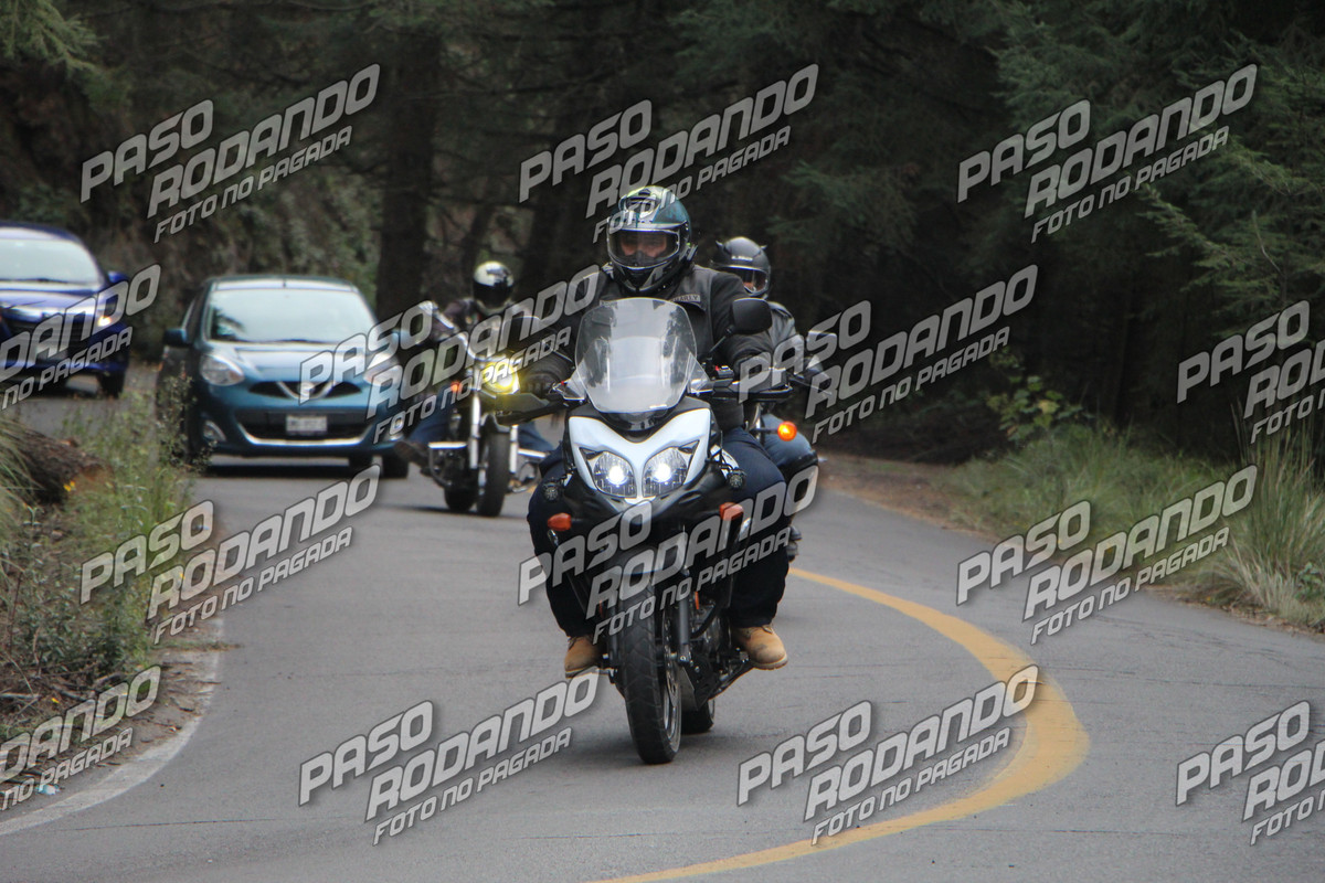 IMG 0183 wm 18268000 4 watermarked — Postimages