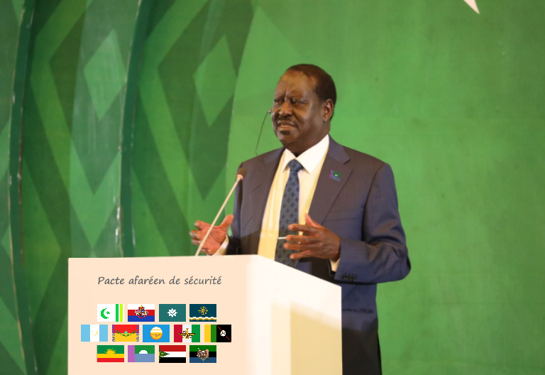 Anna au Conseil afaréen de sécurité Anna au Conseil afaréen de sécurité