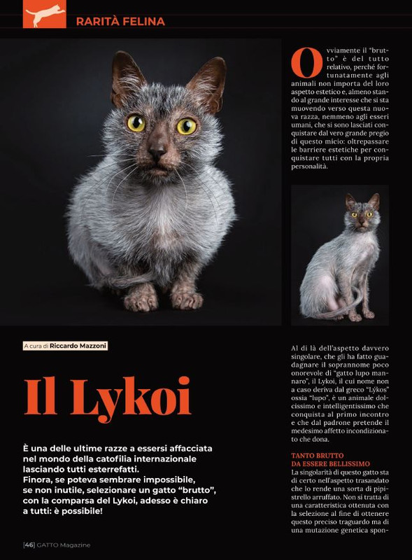 Ga Ma Apr-Mag 2022 (5)