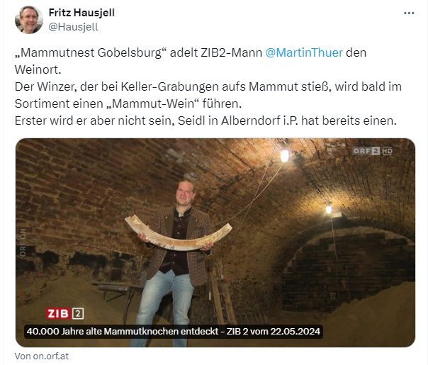 Mammut im Weinkeller