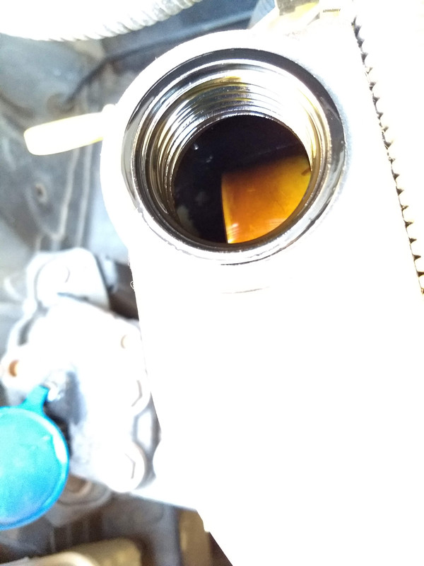 IMG_20191026_123659407