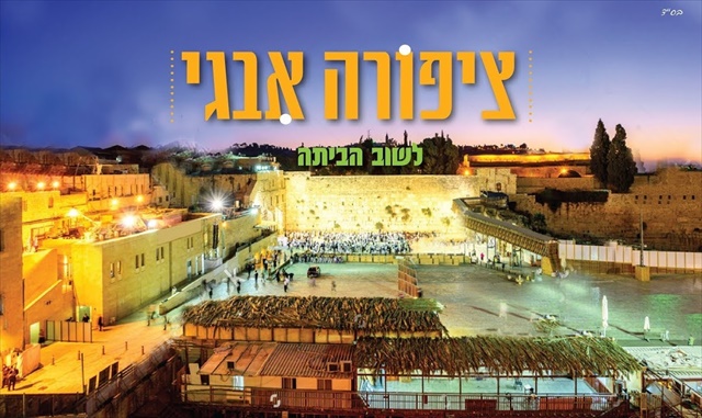 תמונה