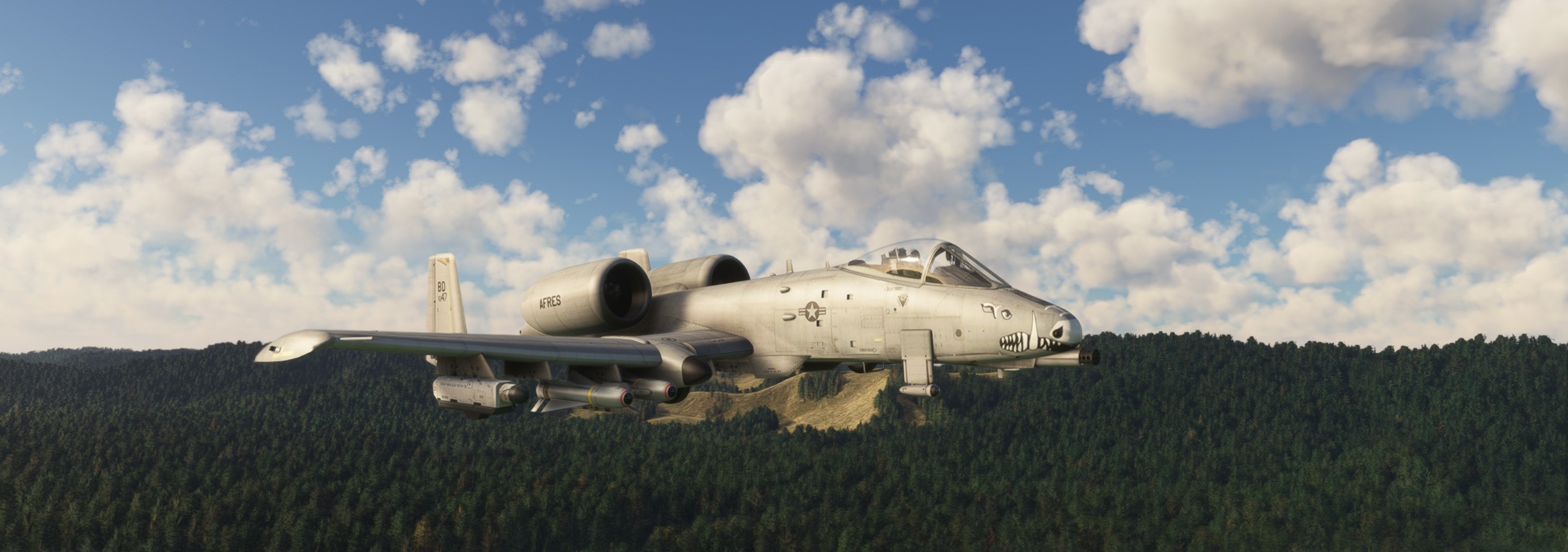 A10-LL.jpg