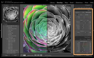 Adobe Lightroom How to Make Your Photos More Colorful Adobe Lightroom How to Make Your Photos More Colorful