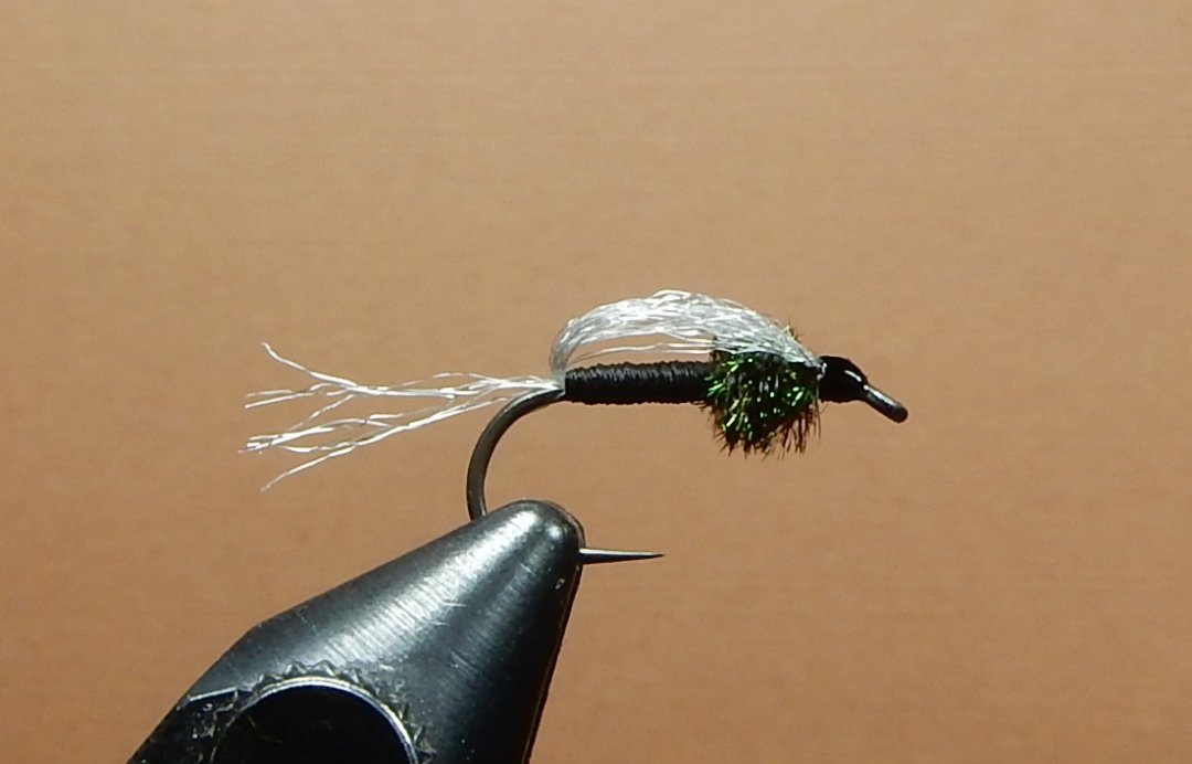 Shellback-Midge-Pupa-1080.jpg