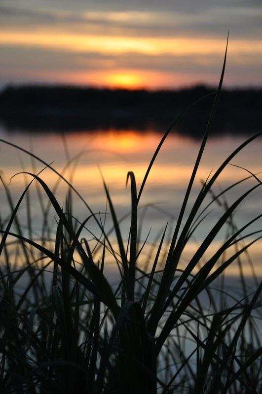 закат вне 4 зим