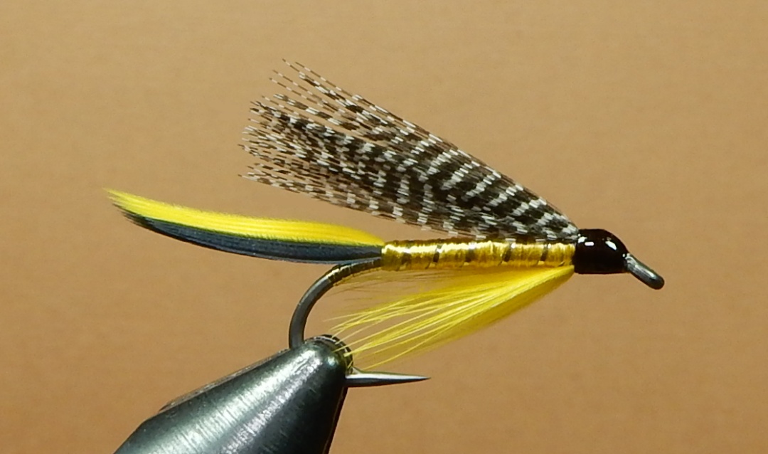 Martin_1080.jpg
