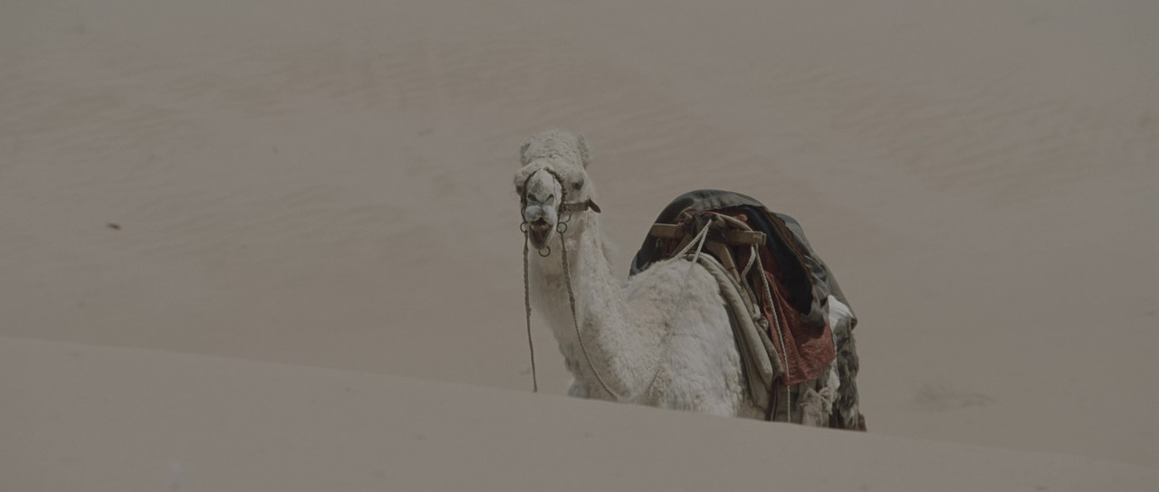 vlcsnap 2026 04 03 16h35m51s350