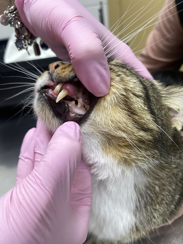 5E850E66-245D-42B6-A8BA-48BAA3023FFC