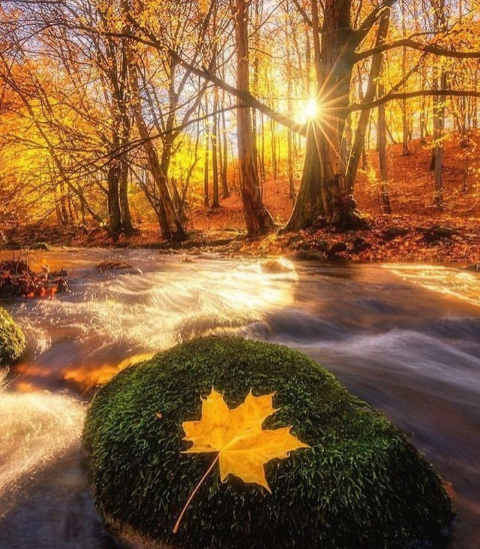 Screenshot_20231117_225233_Instagram