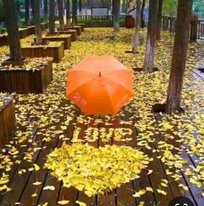 Screenshot_20240214_175608_Pinterest