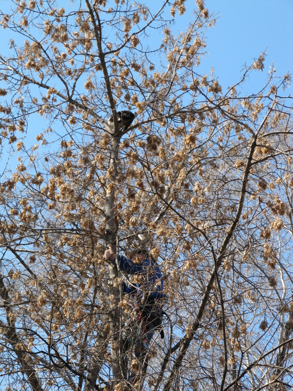 2019-04-11-06-25-50.jpg