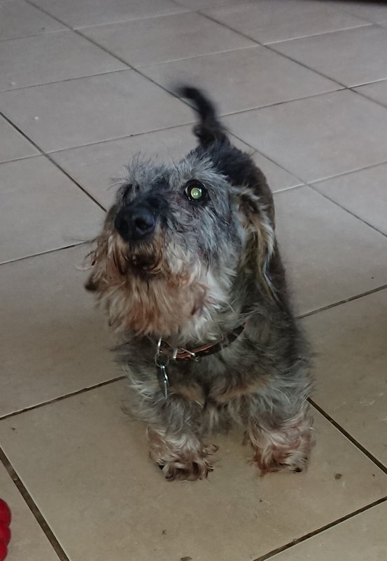 [Image: 20240209-214744.jpg]