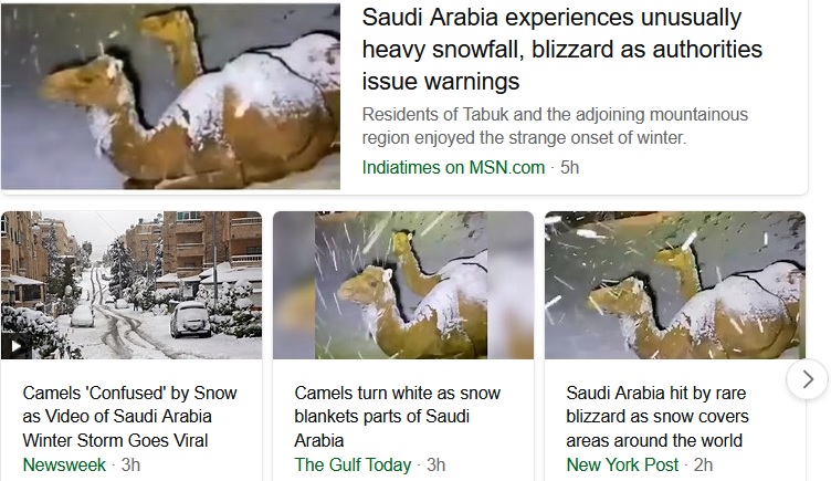 Snow-Camels.jpg