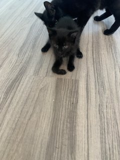 40C1A6FF-BEF6-48CD-8099-1CDD1B2D0004