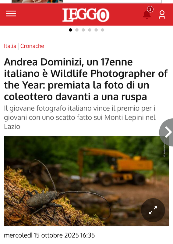 Screenshot_20251017-061548.Firefox