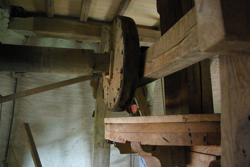 (15059) Stenen Bergmolen - Rijkevorsel 22