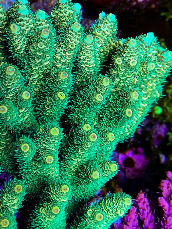 F1F371DA-7768-48E7-BEC1-B8866219C1E9