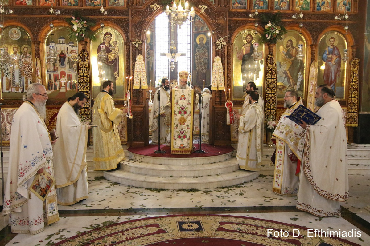 IMGL3639 (Αντιγραφή)