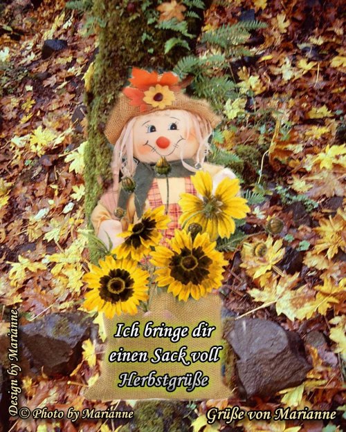 An den Beitrag angehängtes Bild: https://i.postimg.cc/VsqShfMv/Herbst-Leer-2.jpg