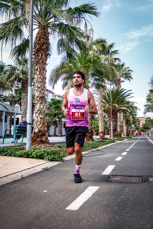 Canary Run 7799