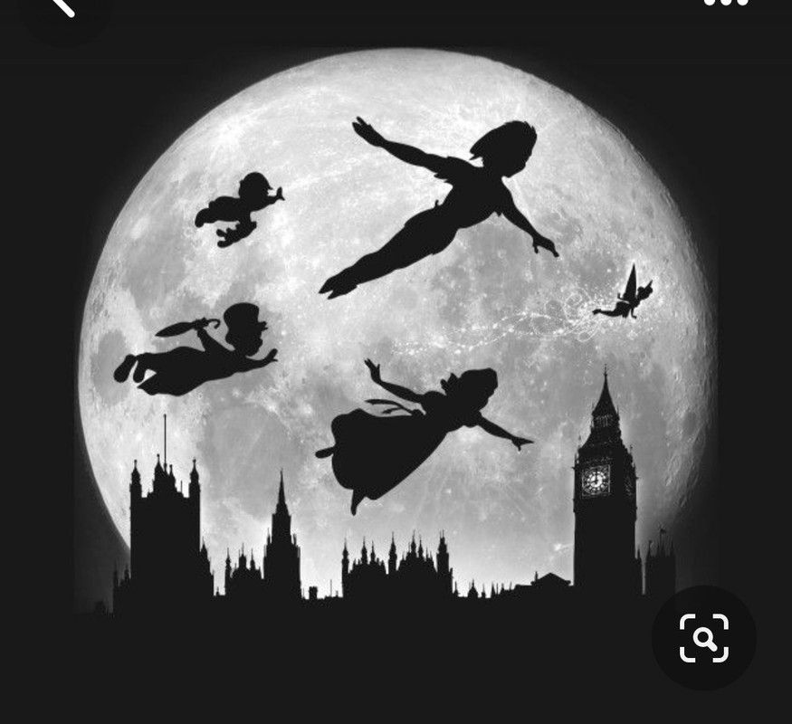 Screenshot_20230903_200018_Pinterest