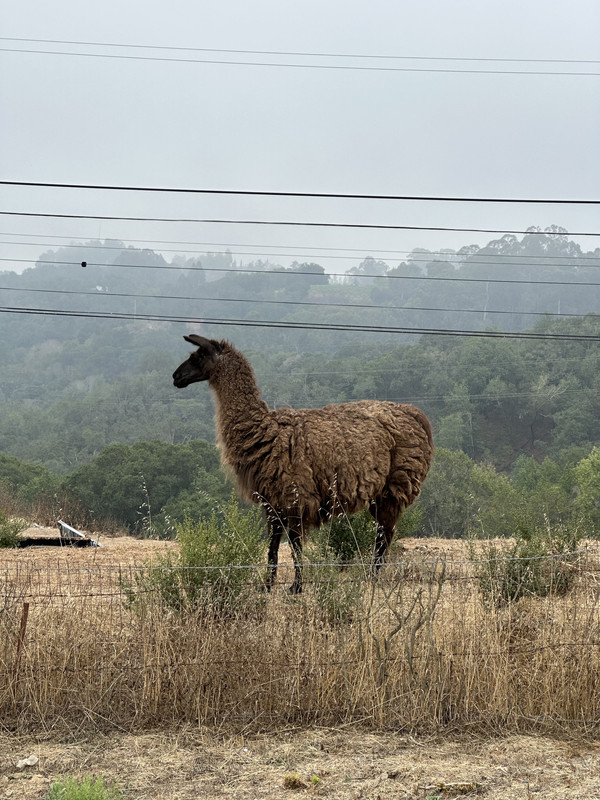 300F98B3-FFCF-4B24-BC83-22B60E5A109A