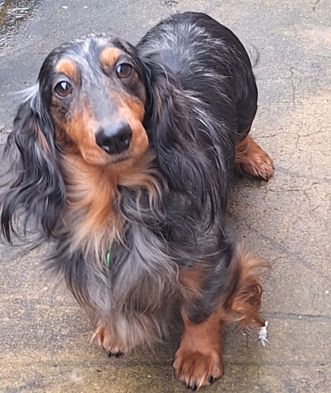 [Image: 20250110-150431-0.jpg]