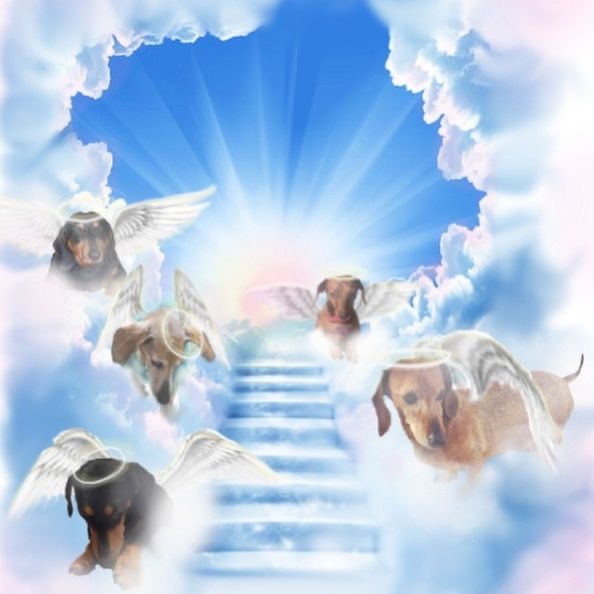 [Image: IMG-0584.jpg]