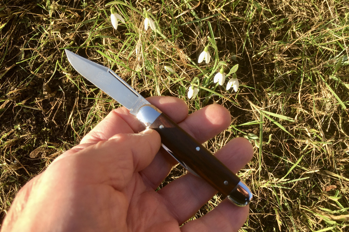 6E35BD11-93C5-4DF5-8C32-C808428B2CFF