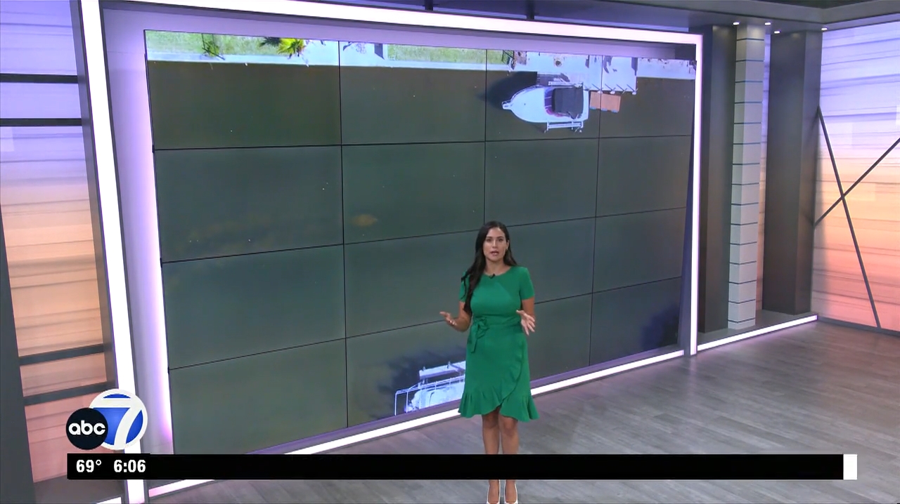 Abc7 More In The Morning Wkn 6Am Su 20240317 10001100-1.mp4_snapshot_07.17.154