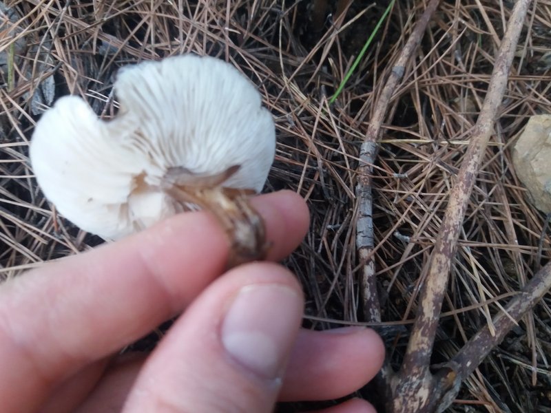 5D390F9E-8B22-4670-84C1-AEEC61BDBC8B