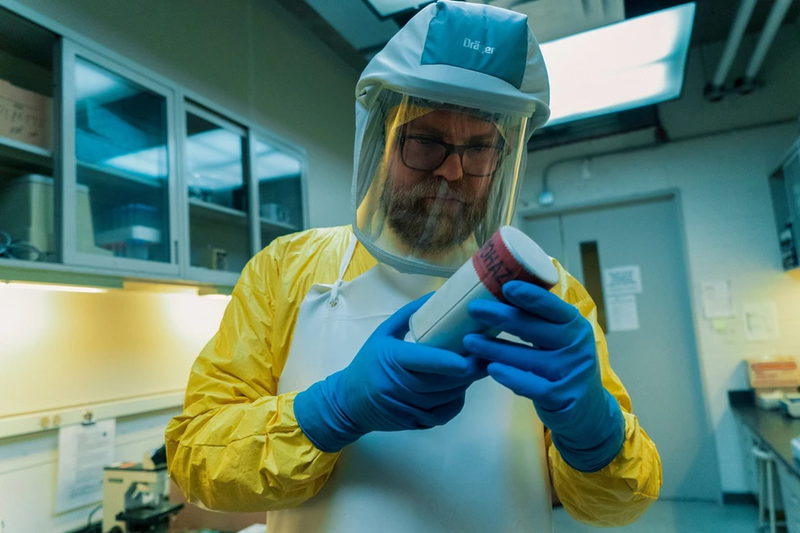Dabar tai oficialu: koronė sukurta laboratorijoje